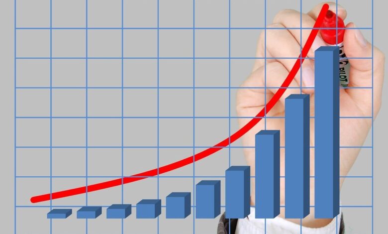 Important of Business Growth and Types, Stages